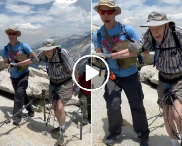 Homem Com 93 Anos Escalou e Alcançou o Pico De Uma Montanha No Parque De Yosemite