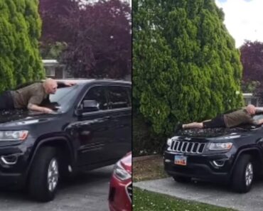 A Dolorosa Tarefa De Um Homem Ao Tentar Proteger o Seu Carro Das Enormes Pedras De Granizo A Dolorosa Tarefa De Um Homem Ao Tentar Proteger o Seu Carro Das Enormes Pedras De Granizo