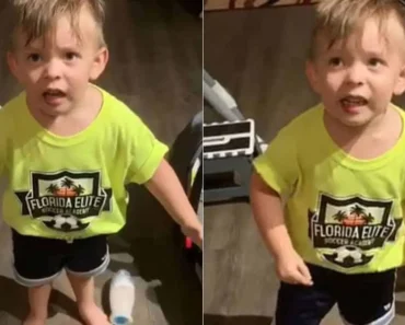 Criança De Dois Anos Fica Ofendida Por Mãe Ir Trabalhar Sem Se Despedir Criança De Dois Anos Fica Ofendida Por Mãe Ir Trabalhar Sem Se Despedir