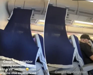 Passageiro Transforma Lugar De Classe Económica No Avião Em Espaço VIP Passageiro Transforma Lugar De Classe Económica No Avião Em Espaço VIP