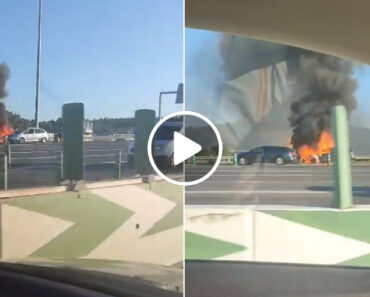 Carro Incendeia-se Na A1 Junto Às Portagens De Alverca