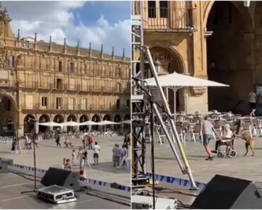 Cão Filmado a “Empurrar” Cadeira De Rodas Da Dona Durante Passeio Em Salamanca Cão Filmado a “Empurrar” Cadeira De Rodas Da Dona Durante Passeio Em Salamanca