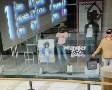 Homem Faz-se Passar Por Manequim De Loja e Espera Que Centro Comercial Encerre Para Roubar Homem Faz-se Passar Por Manequim De Loja e Espera Que Centro Comercial Encerre Para Roubar