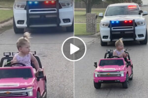 Menina De 2 Anos Ao Volante Foi Abordada Pela Polícia e o Momento Tornou-se Viral