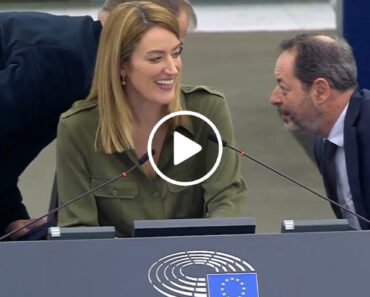 Cão Entra No Parlamento Europeu e Deixa Deputados a Rir