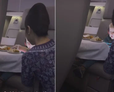 Assistente De Bordo Dá De Comer a Criança Durante Voo. Internautas Reagem Assistente De Bordo Dá De Comer a Criança Durante Voo. Internautas Reagem