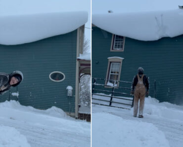 Queria Fazer Vídeo De Queda De Neve… Mas Acabou Em Momento “Falhado” Queria Fazer Vídeo De Queda De Neve… Mas Acabou Em Momento “Falhado”