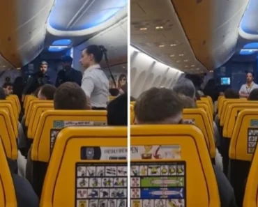 A Forma “Sexy” Como Este Assistente De Bordo Apresenta Menu Já é Viral A Forma “Sexy” Como Este Assistente De Bordo Apresenta Menu Já é Viral