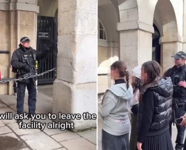 Turistas Tentam Ridicularizar Guarda Real Britânico. Polícia Defende-o Turistas Tentam Ridicularizar Guarda Real Britânico. Polícia Defende-o