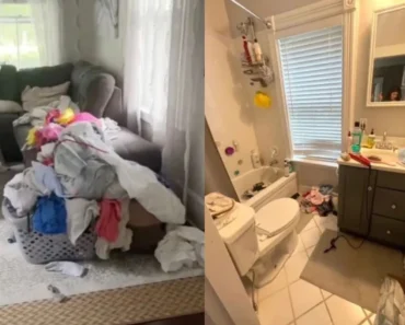 Marido Acusou Esposa De Não Fazer Nada e Ela Deixou De Limpar a Casa… Eis o Resultado Marido Acusou Esposa De Não Fazer Nada e Ela Deixou De Limpar a Casa… Eis o Resultado