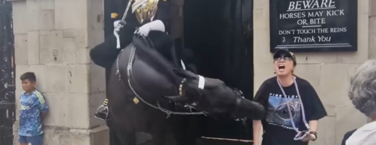 Turista Em Busca De Fotos é Mordida Por Cavalo Do Rei e Desmaia Turista Em Busca De Fotos é Mordida Por Cavalo Do Rei e Desmaia