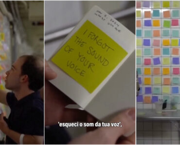 Artista Está a Ajudar Inúmeras Pessoas Após Criar “Terapia Do Metro” Em Nova Iorque