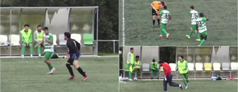 Enxame De Abelhas Interrompe Jogo e Provoca Correria Em Campo No Alentejo Enxame De Abelhas Interrompe Jogo e Provoca Correria Em Campo No Alentejo