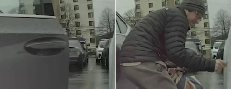Homem Filmado a Riscar Tesla Foi Confrontado Pelo Dono Do Carro Homem Filmado a Riscar Tesla Foi Confrontado Pelo Dono Do Carro