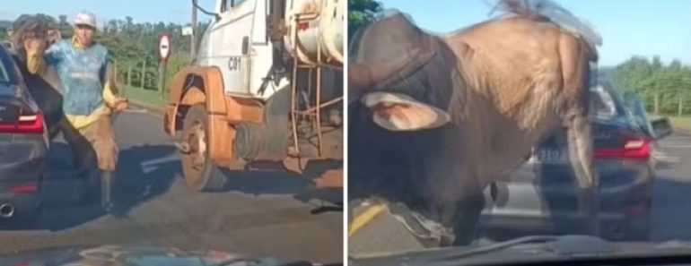 Touro Persegue Homem e Destrói Carro Em Estrada De Ribeirão Preto Touro Persegue Homem e Destrói Carro Em Estrada De Ribeirão Preto