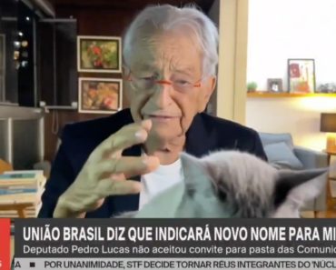 Gata Invade Emissão Em Direto e Interrompe Jornalista Da GloboNews