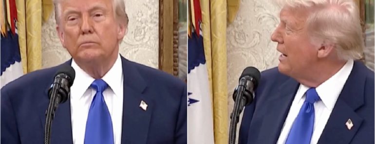 Donald Trump Diz Que Católicos Adoraram Vê-lo “Vestido” De Papa Donald Trump Diz Que Católicos Adoraram Vê-lo “Vestido” De Papa