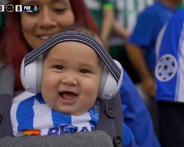 Bebé Portista Encanta Nas Redes Sociais Ao Assistir Ao Jogo Entre FC Porto e Palmeiras