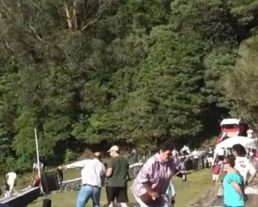 Homem Agride Touro Com Cadeiras Durante Tourada à Corda Na Ilha Terceira Homem Agride Touro Com Cadeiras Durante Tourada à Corda Na Ilha Terceira