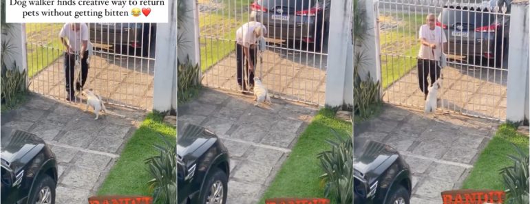 Passeador de cães encontra uma maneira criativa de devolver o cão sem ser mordido Passeador de cães encontra uma maneira criativa de devolver o cão sem ser mordido