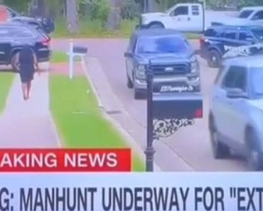 Canal De TV Capta Acidentalmente Momento Peculiar Durante Transmissão Canal De TV Capta Acidentalmente Momento Peculiar Durante Transmissão