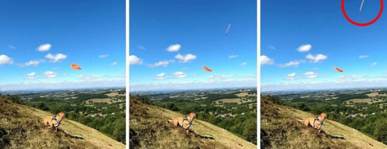 Homem Terá Captado OVNI Enquanto Filmava Cão a Apanhar Disco Voador Homem Terá Captado OVNI Enquanto Filmava Cão a Apanhar Disco Voador