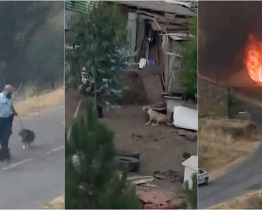 Elementos Da GNR Resgatam Cães Em Pleno Inferno Das Chamas Na Pampilhosa Da Serra Elementos Da GNR Resgatam Cães Em Pleno Inferno Das Chamas Na Pampilhosa Da Serra