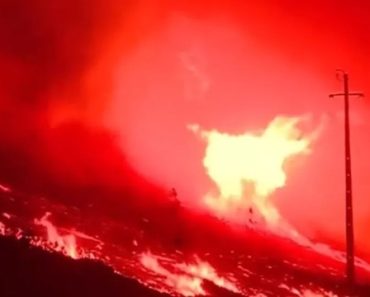 Novo “Tornado De Fogo” Registado Em Incêndio Da Covilhã Novo “Tornado De Fogo” Registado Em Incêndio Da Covilhã