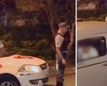 Sê Honesto Com a Polícia… Mas Não Tanto Sê Honesto Com a Polícia… Mas Não Tanto