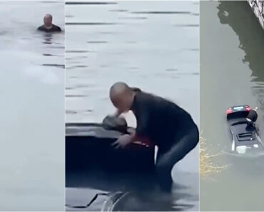 Heróis Partem Teto Panorâmico De Audi Para Salvar Condutor De Morrer Afogado Heróis Partem Teto Panorâmico De Audi Para Salvar Condutor De Morrer Afogado