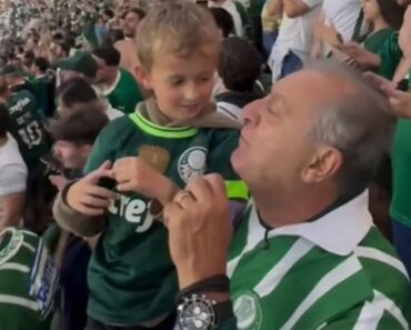 A Conversa Entre Avô e Neto Do Palmeiras Que Se Tornou Viral: “Não Fazes Ideia Do Que Significa Virar Este Jogo” A Conversa Entre Avô e Neto Do Palmeiras Que Se Tornou Viral: “Não Fazes Ideia Do Que Significa Virar Este Jogo”