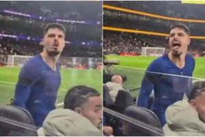Já Se Tornou Viral: A Reação De Pedro Neto Após Adepto Do Tottenham o Ter Mandado Sentar