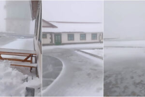 Serra Da Estrela Já Veste De Branco: Neve Obriga Ao Fecho De Estradas