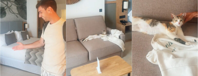 Casal Português Descobre Hóspede Inesperada No Quarto Durante Férias Nas Ilhas Maurícias Casal Português Descobre Hóspede Inesperada No Quarto Durante Férias Nas Ilhas Maurícias