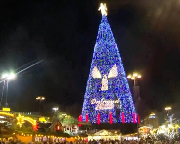 Dortmund Celebra a Árvore De Natal Mais Alta Do Mundo… Porém Ermesinde Supera a Marca Dortmund Celebra a Árvore De Natal Mais Alta Do Mundo… Porém Ermesinde Supera a Marca
