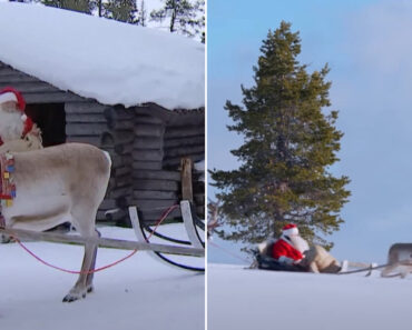 À Espera Do Presente? Pai Natal Já Saiu Da Lapónia… e Há Vídeo À Espera Do Presente? Pai Natal Já Saiu Da Lapónia… e Há Vídeo