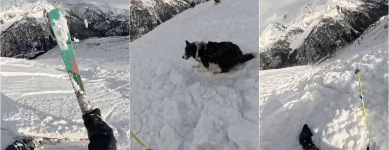 Esquiadora e Cão Escapam Ilesos a Avalanche Em Andorra Esquiadora e Cão Escapam Ilesos a Avalanche Em Andorra
