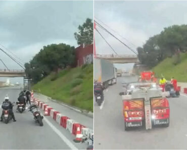 Mulher Passeou Dois Cães Na A2 Durante Seis Quilómetros Mulher Passeou Dois Cães Na A2 Durante Seis Quilómetros