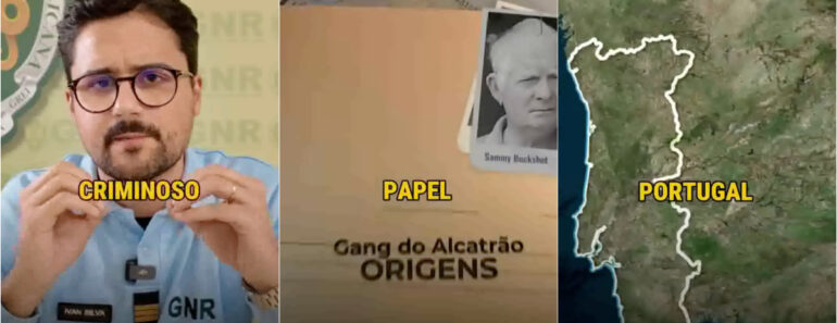 Guarda Nacional Republicana Revela Novo Modus Operandi Do Gang Do Alcatrão Guarda Nacional Republicana Revela Novo Modus Operandi Do Gang Do Alcatrão