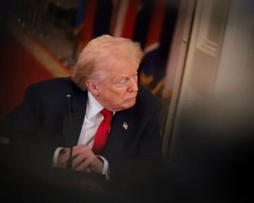 Trump Usa Filmes De Hollywood Para Celebrar “Justiça Ao Estilo Americano” Trump Usa Filmes De Hollywood Para Celebrar “Justiça Ao Estilo Americano”