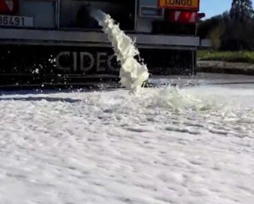 Espanha: Agricultores Vertem 15 Mil Litros De Leite Português Na Estrada Espanha: Agricultores Vertem 15 Mil Litros De Leite Português Na Estrada