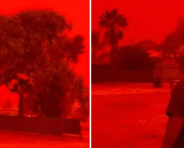Ciclone Deixa Céu Da Austrália Com “Tom Vermelho Assustador” Ciclone Deixa Céu Da Austrália Com “Tom Vermelho Assustador”