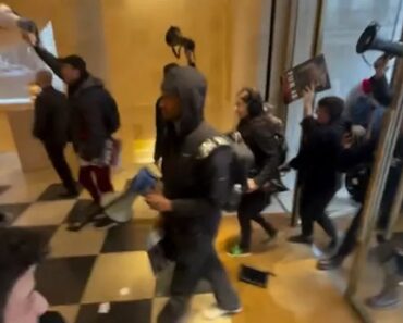 Ativistas Invadem Loja Da Louis Vuitton Em Londres Em Protesto Contra o Uso De Peles No Mundo Da Moda Ativistas Invadem Loja Da Louis Vuitton Em Londres Em Protesto Contra o Uso De Peles No Mundo Da Moda