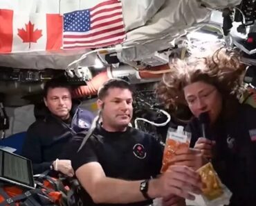 Como é a Comida No Espaço? A Tripulação Da Artemis II Explica Como é a Comida No Espaço? A Tripulação Da Artemis II Explica