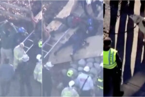 Cadela é Salva Após Queda Em Sumidouro Graças a Gesto De Outro Cão