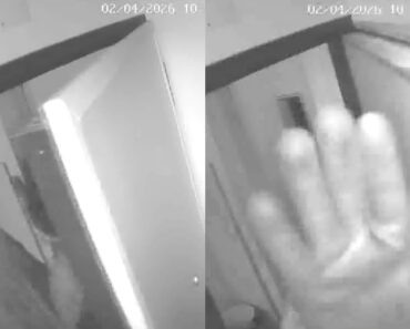 Assalto Relâmpago Em Viseu: Dupla Invade Apartamento Em 18 Segundos e Rouba 15 Mil Euros Em Ouro e Joias Assalto Relâmpago Em Viseu: Dupla Invade Apartamento Em 18 Segundos e Rouba 15 Mil Euros Em Ouro e Joias