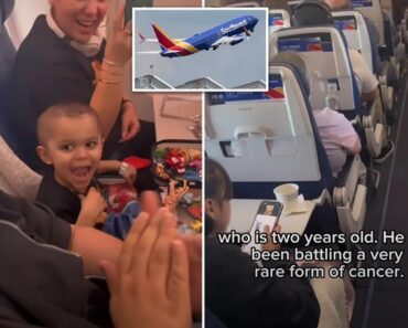 “Honra Em Levar-te a Casa”. Companhia Surpreende Menino Que Venceu Cancro “Honra Em Levar-te a Casa”. Companhia Surpreende Menino Que Venceu Cancro