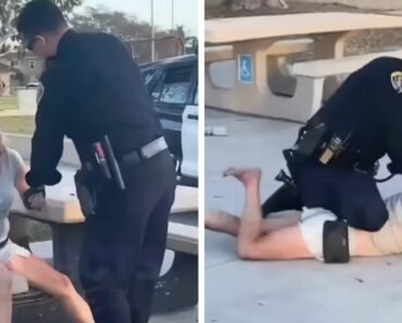 Detenção Policial Volta a Despertar Polémica Sobre Força Excessiva Detenção Policial Volta a Despertar Polémica Sobre Força Excessiva