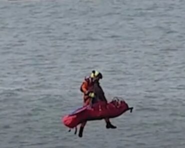 Ficou “Isolado Em Zona Rochosa” Na Praia De São Pedro De Moel Após Maré Subir. Veja o Resgate Ficou “Isolado Em Zona Rochosa” Na Praia De São Pedro De Moel Após Maré Subir. Veja o Resgate