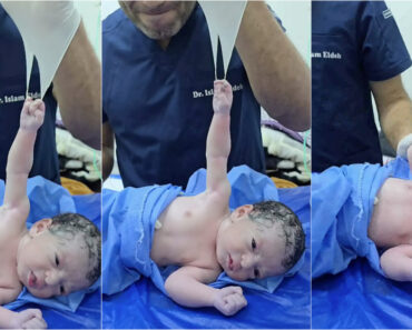 Recém-Nascido Agarra Luva Do Médico Segundos Após Nascer e Torna-se Viral Recém-Nascido Agarra Luva Do Médico Segundos Após Nascer e Torna-se Viral
